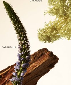 Alternative view of Fragrance Layering Balm - Woody Oak